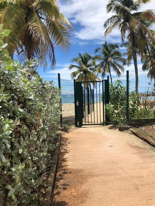 Soleiade Le Gosier - Acces Plage Luaran gambar